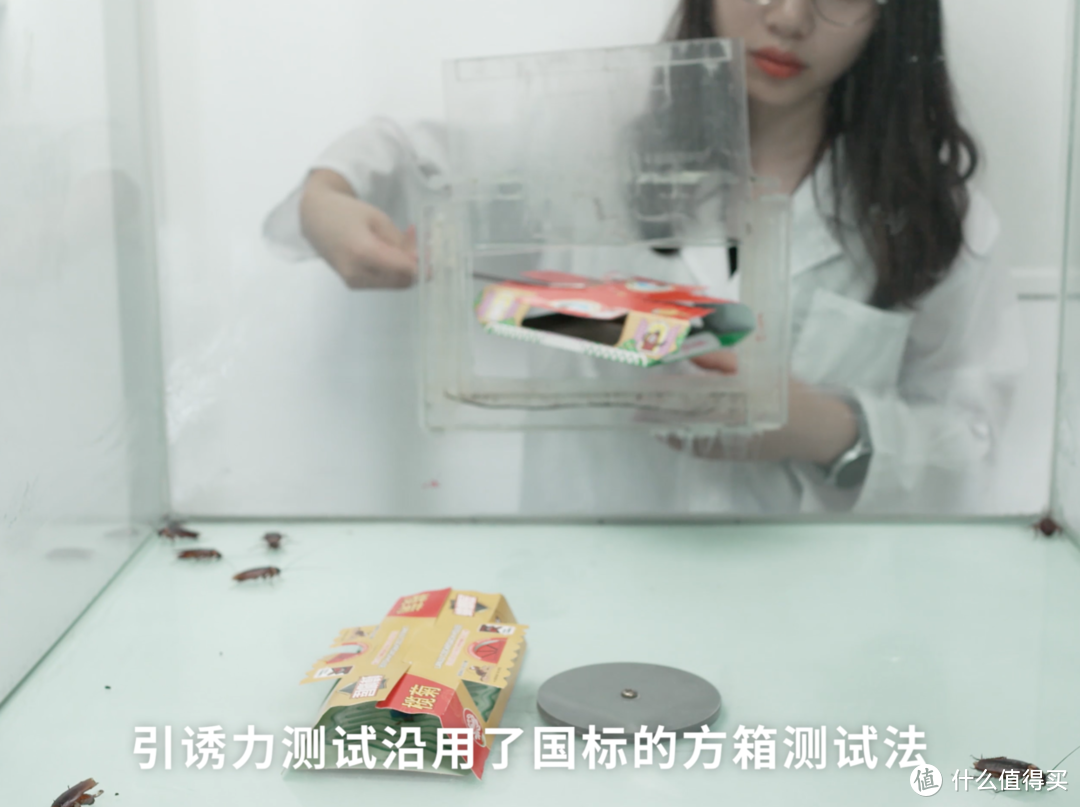 1000 只蟑螂用命告诉你，哪种灭蟑方法最有效 | 先看评测