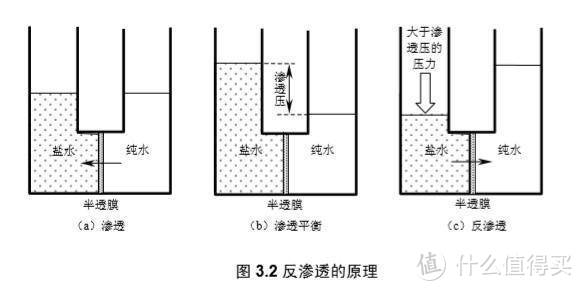 三下五除二，净水到底快不快？实测352新款1000G净水器