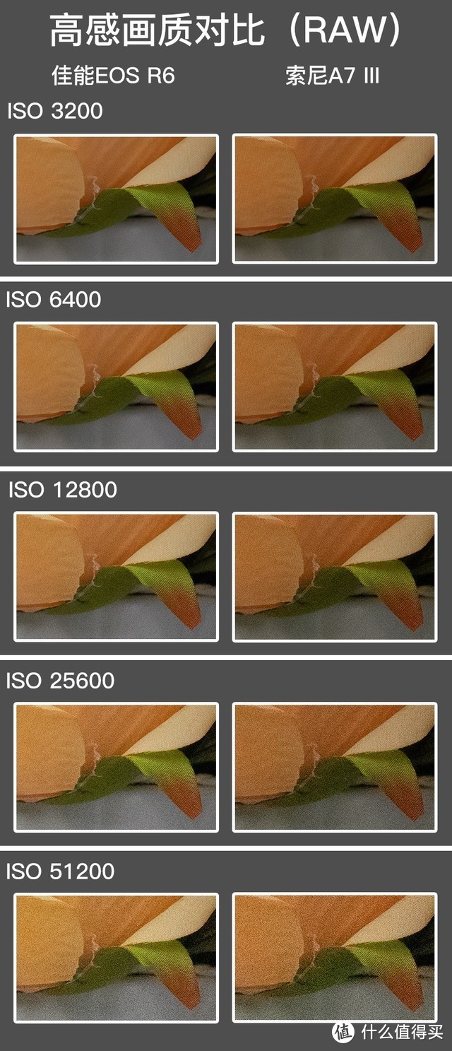 全画幅基准对决 EOS R6 vs A7M3谁是性价比之王