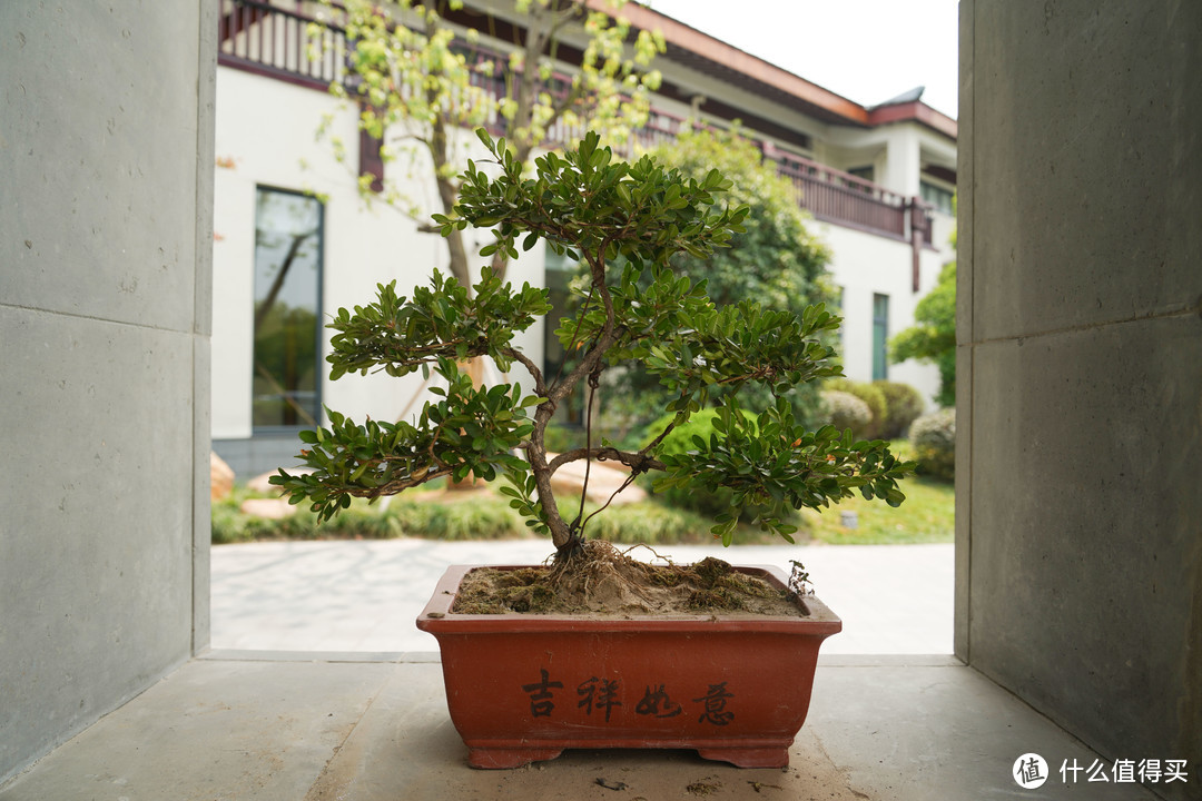 万能旅游头画质到底怎么样？腾龙28-200/2.8-5.6旅游镜头试用体验