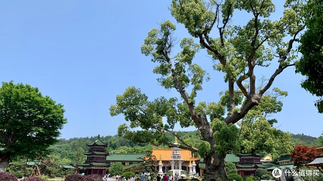 净土祖庭，东林寺礼佛