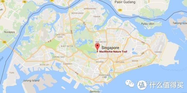 新加坡旅游/瞎逛-梅逊教主之徒步篇 