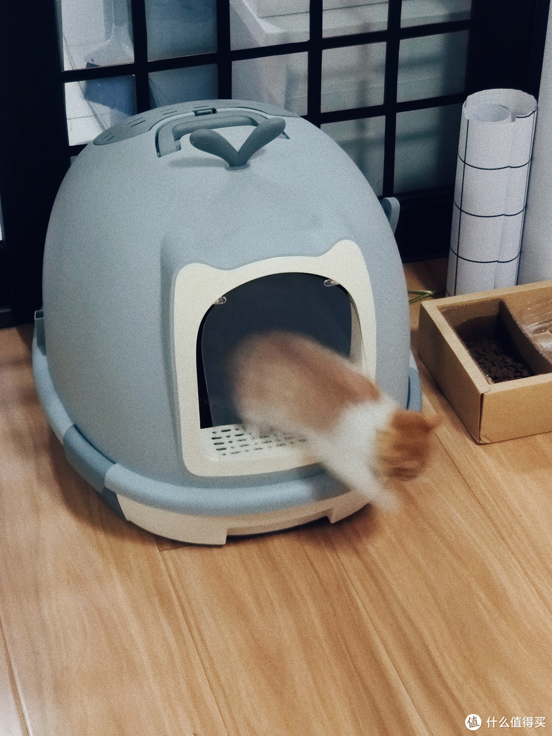 ▲2019-11-09