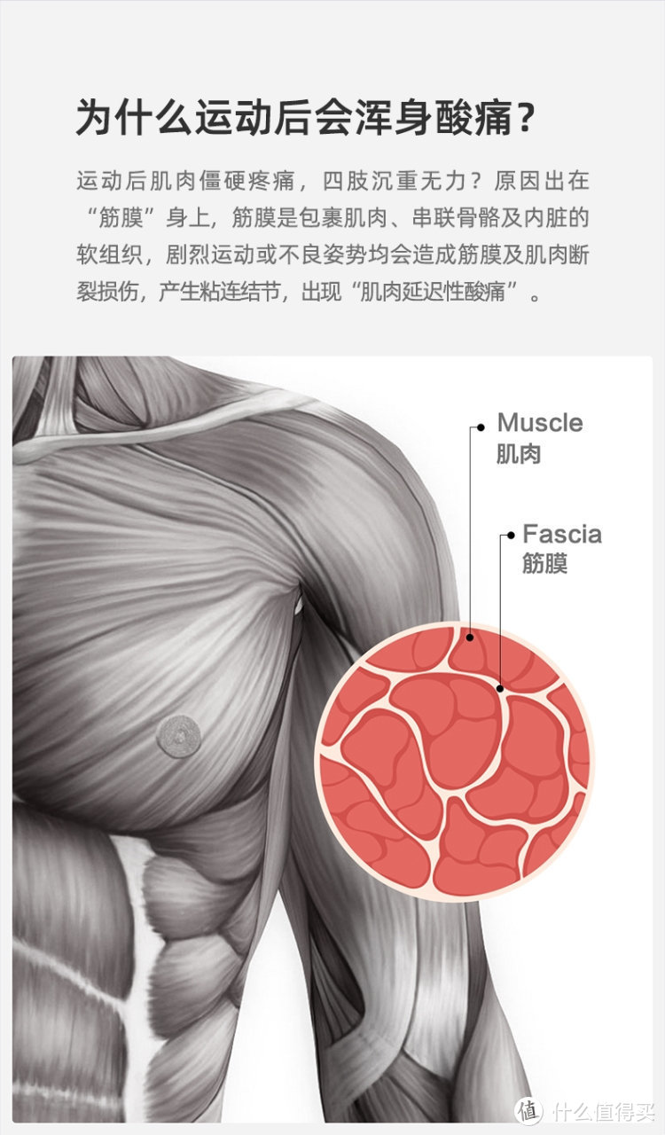 缓解肌肉酸痛，云麦筋膜枪Pro Basic让你爱上运动