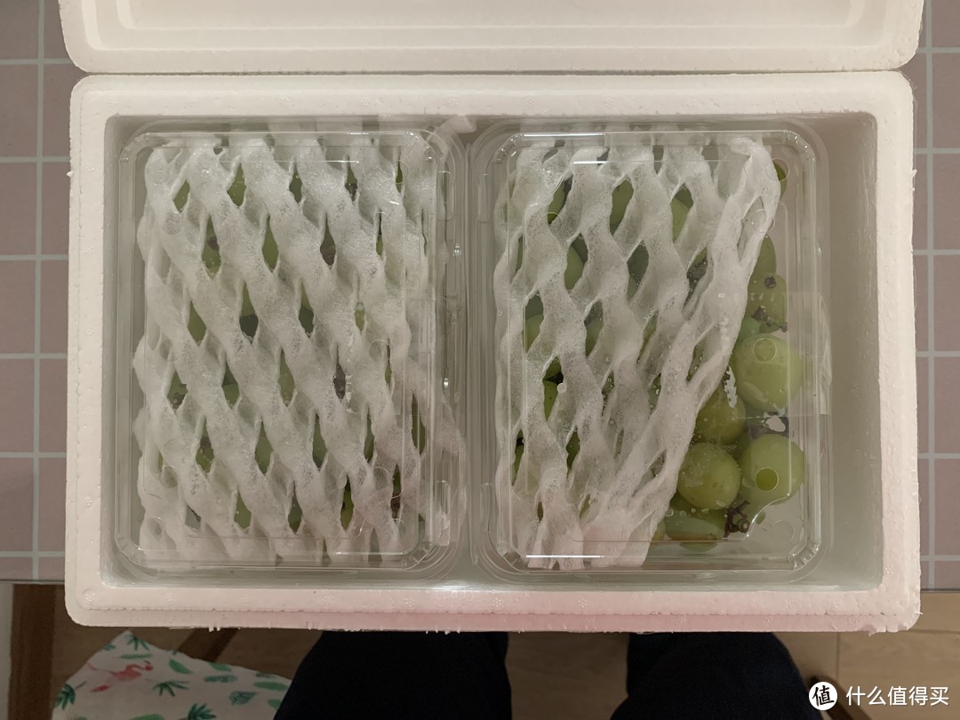 图书馆猿の白菜价 鲜聚缘 阳光玫瑰青提 简单晒