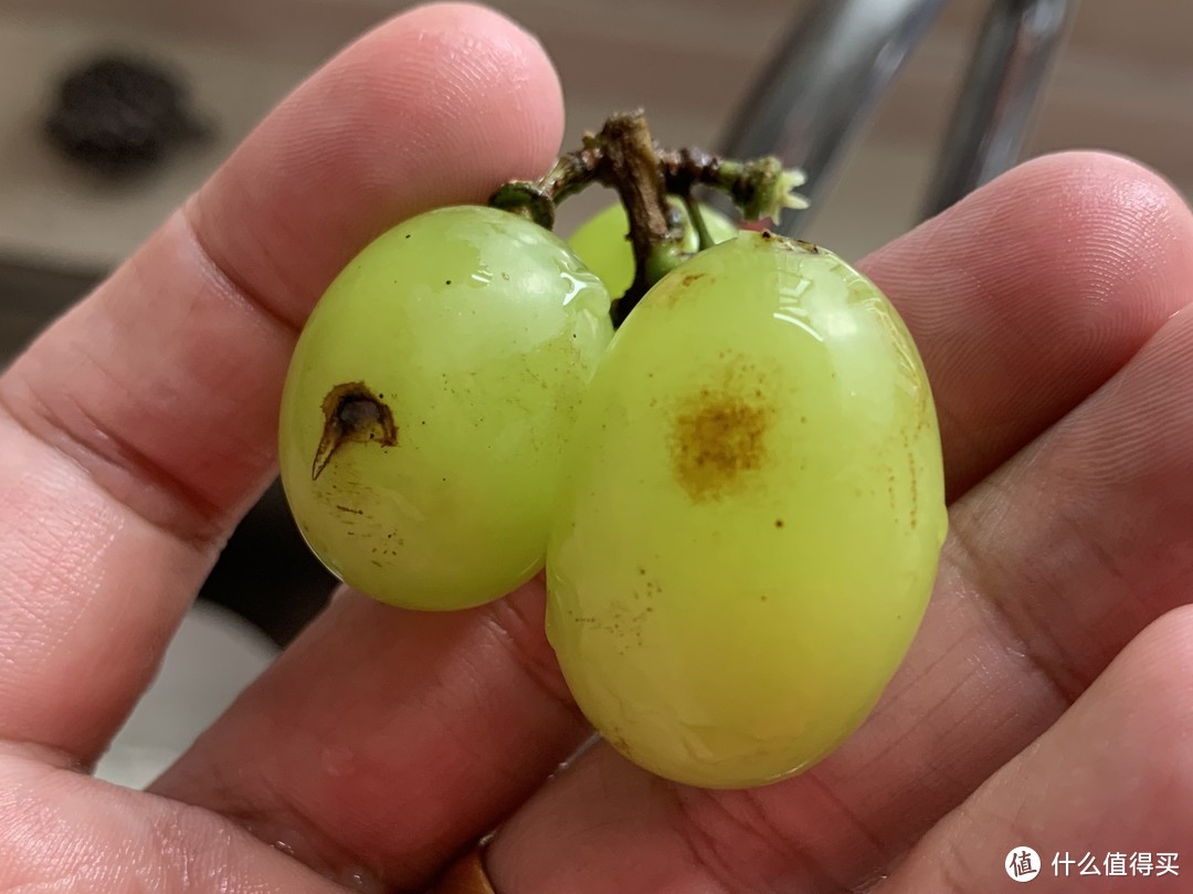 提子品相确实不咋地,而且看着很脏.