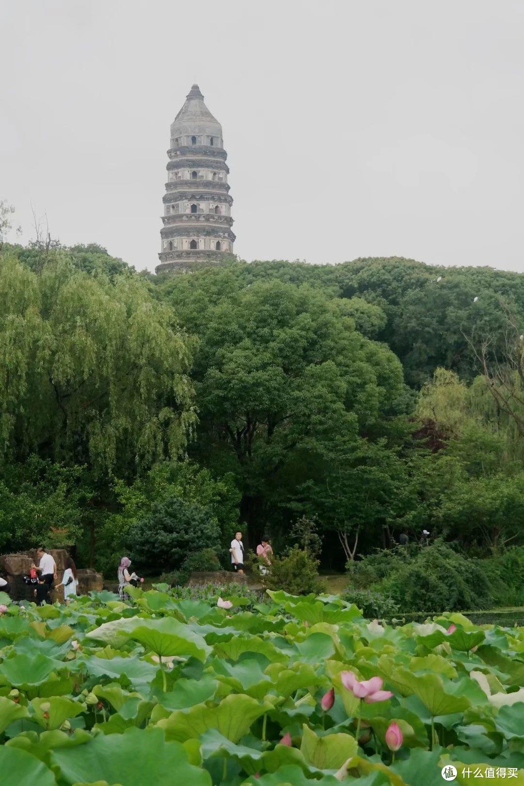 “上有天堂，下有苏杭”，苏州有哪些值得一转的地方？