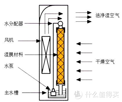 一觉醒来口干舌燥？你需要一台冷蒸发加湿器！——0202加湿器选购攻略及舒乐氏无雾加湿器使用体验