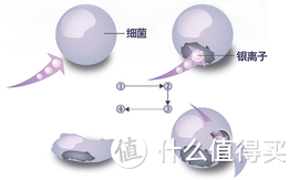 一觉醒来口干舌燥？你需要一台冷蒸发加湿器！——0202加湿器选购攻略及舒乐氏无雾加湿器使用体验