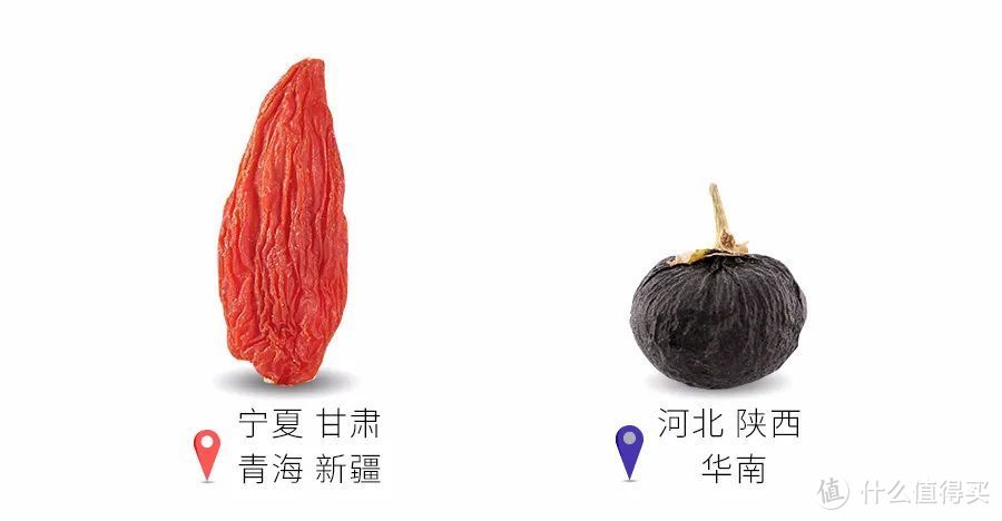 红、黑枸杞大pk，谁更有营养？