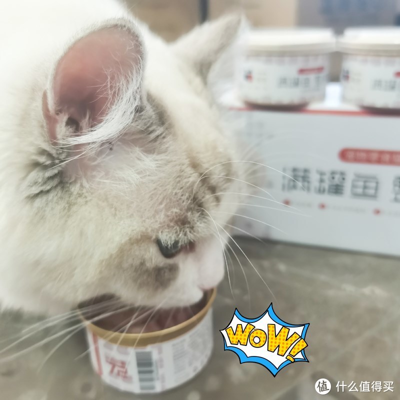 萌克猫粮猫罐头，新晋国产猫粮品牌到底好不好