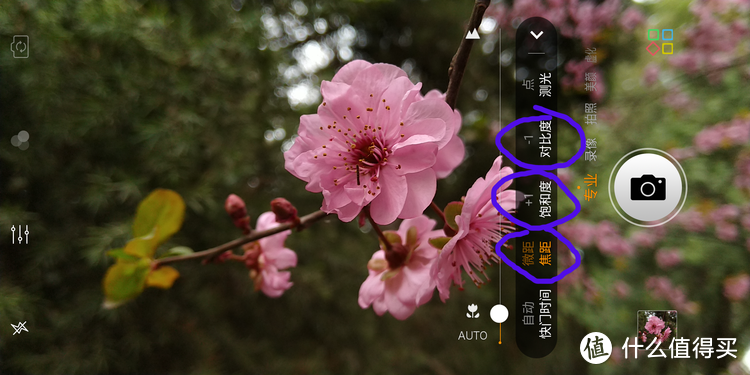 手机如何拍好树上的花？