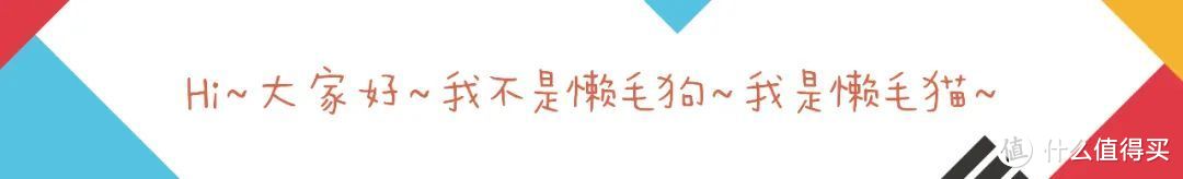 养猫过敏，养狗怕遛？你可以养豹纹守宫呀～