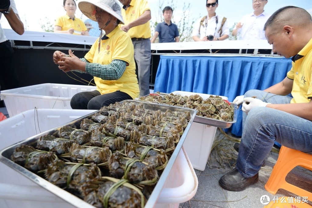 买大闸蟹，拿上这份挑蟹宝典就够了！