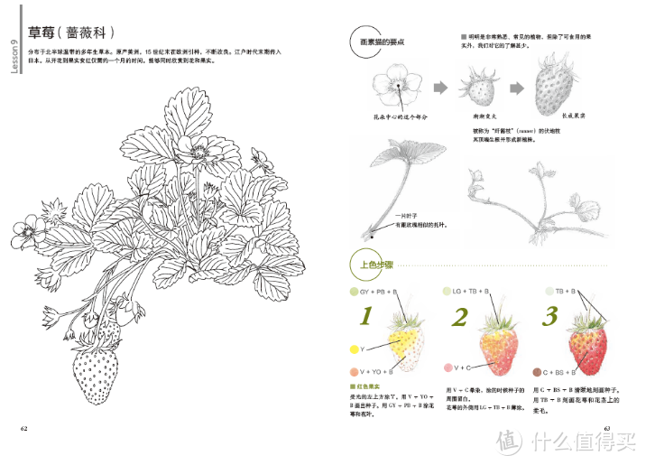 从0开始学画画~新手必备画材/教材/网址工具清单合集（万字干货）