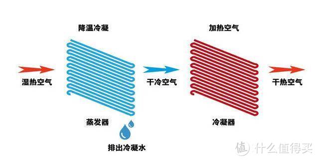 一下雨储藏室就糟心，拯救储藏室大作战，亲身实测湿度检测仪+松下除湿机