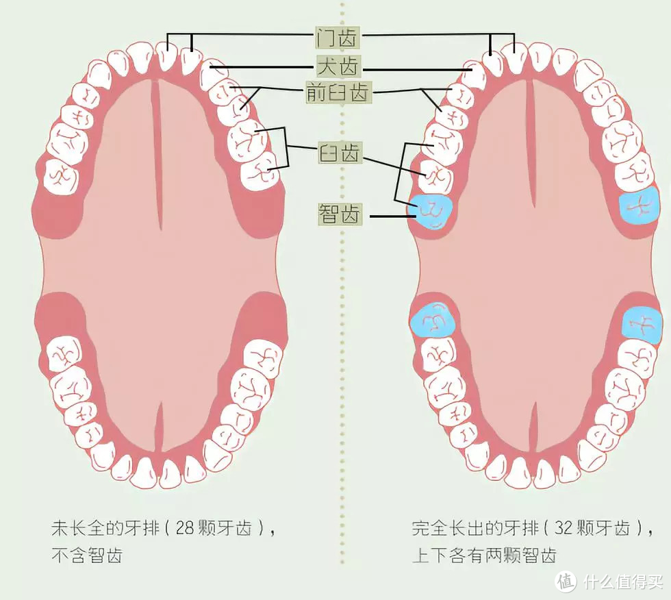 来自网络