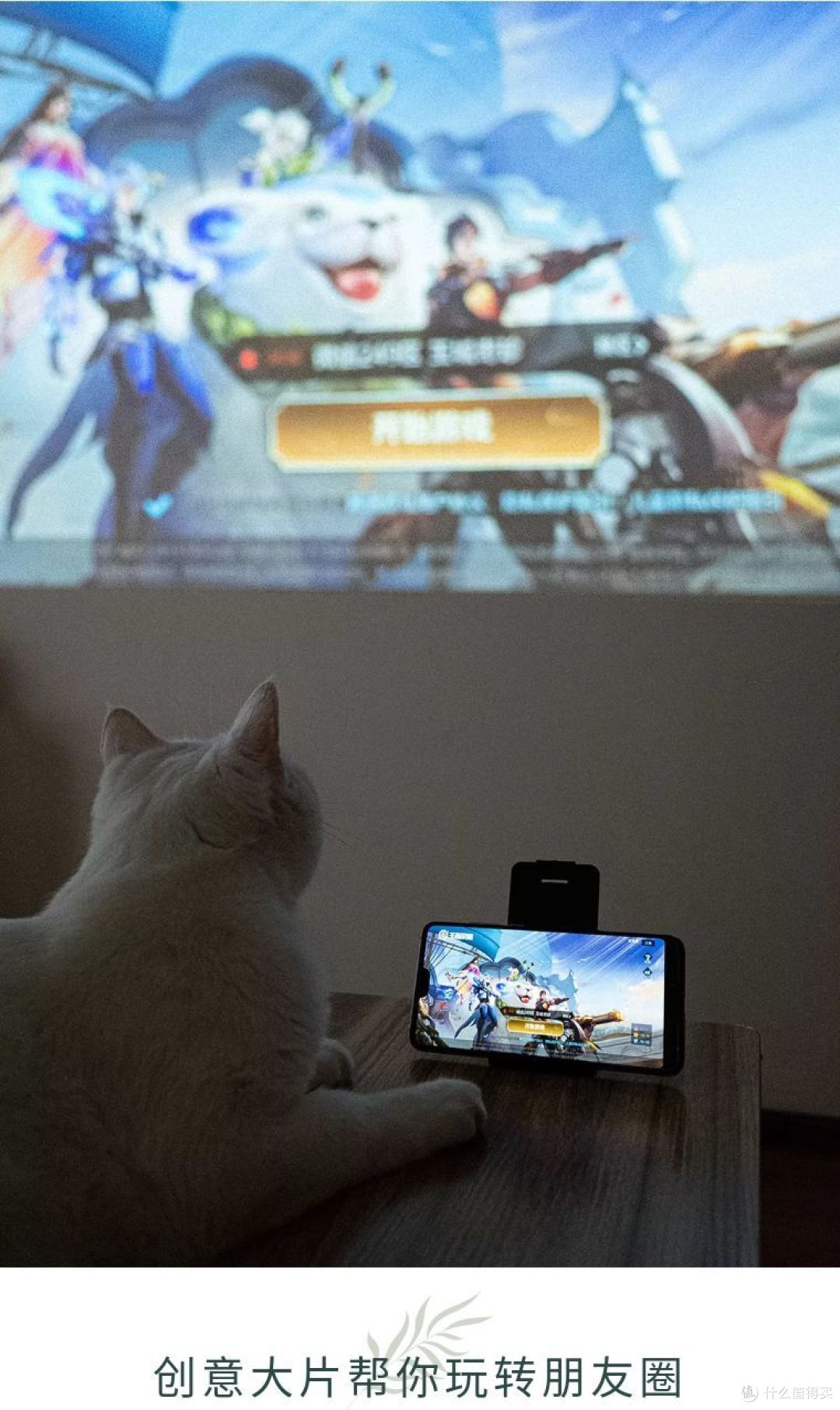 教你玩转米家投影仪青春版2