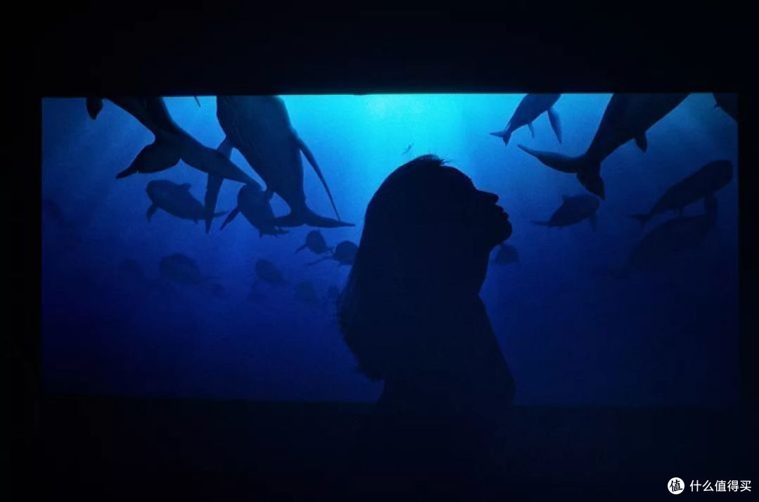 教你玩转米家投影仪青春版2