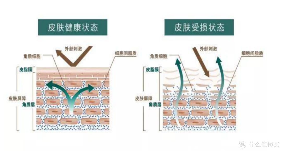 不了解自己肤质就谈护肤，都是耍流氓！