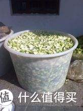 五款榨菜测评，我已经回购多次