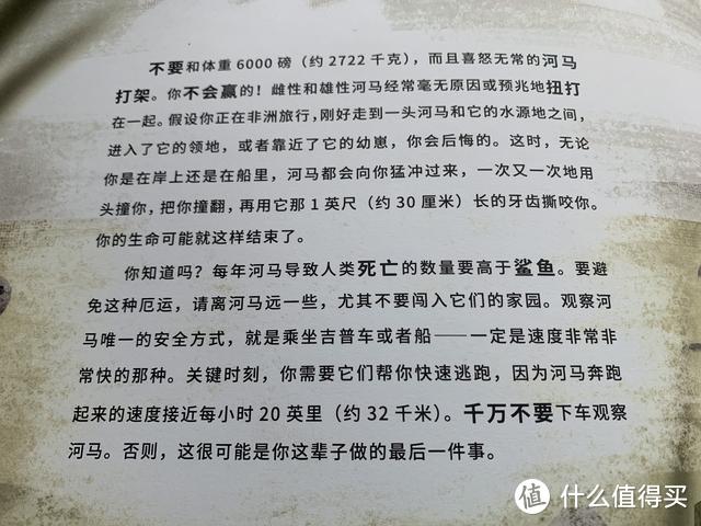 一本书，13种隐藏的危险，满足爱探险孩子的安全教育绘本书