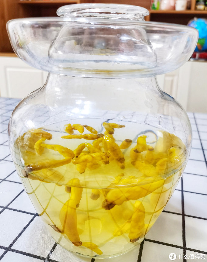 白皮萝卜和红皮萝卜有什么区别?用一道自制的爽口萝卜告诉你