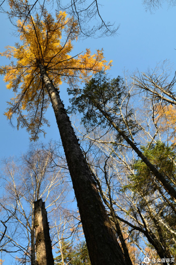 d1:大连到松江河(k7511,14:10-7:43),夜宿火车看似要在火车上待很长