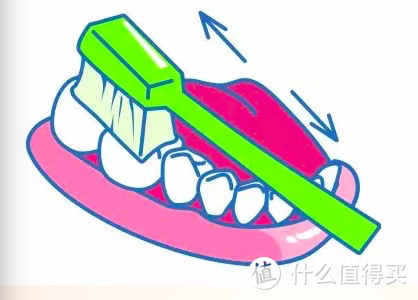 刷牙两分钟，摸鱼一分半？是时候学习一下正确刷牙方法了！