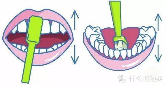 刷牙两分钟，摸鱼一分半？是时候学习一下正确刷牙方法了！