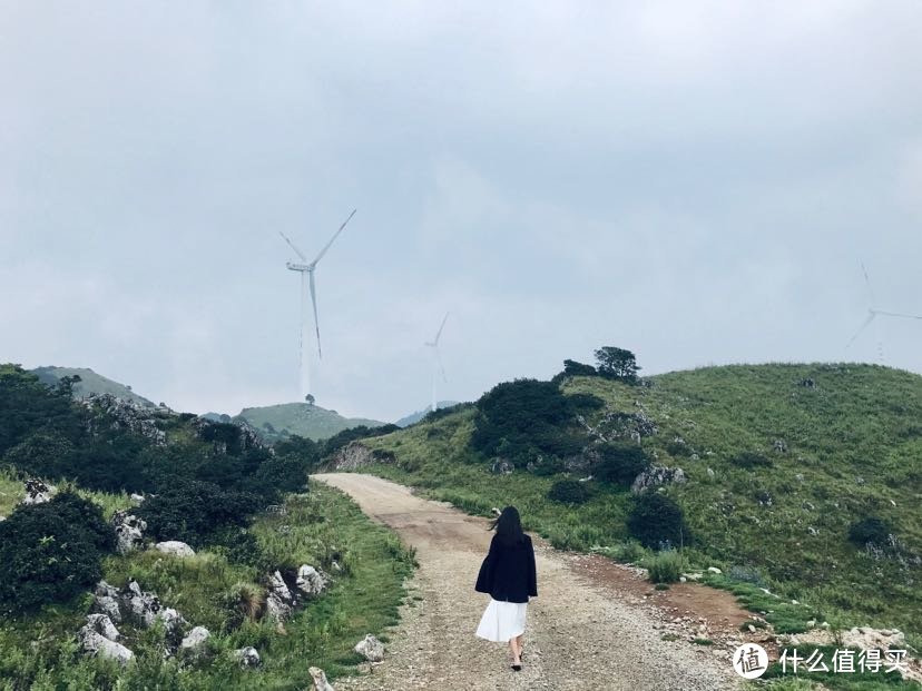 夏天的最后一趟旅行-大理丽江游