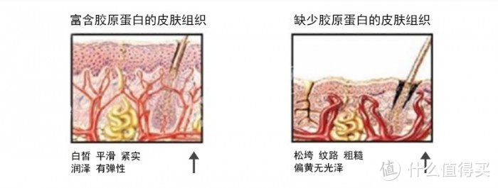 ​你还不知道这款成本小护肤效果显著的家用射频美颜仪吗？