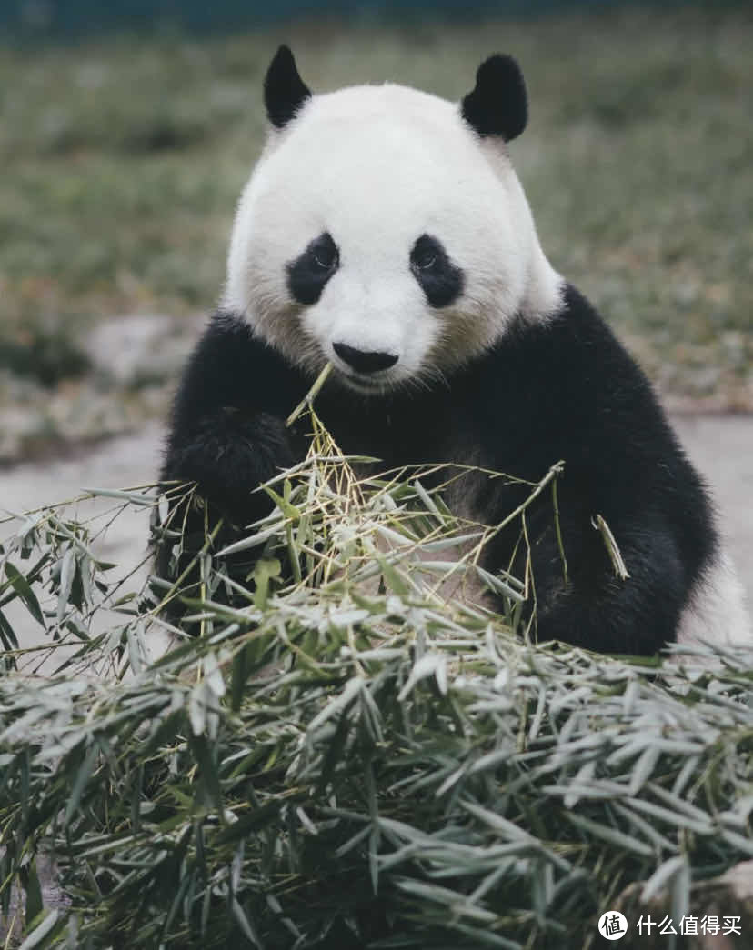 拒绝人挤人！盘点3个小众江浙沪周边游目的地！快快收藏～国庆假期可去