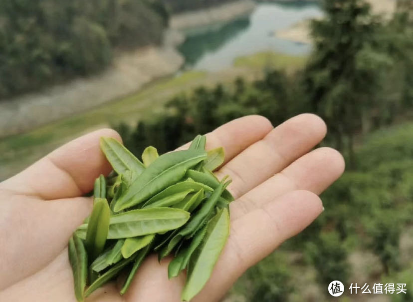 拒绝人挤人！盘点3个小众江浙沪周边游目的地！快快收藏～国庆假期可去