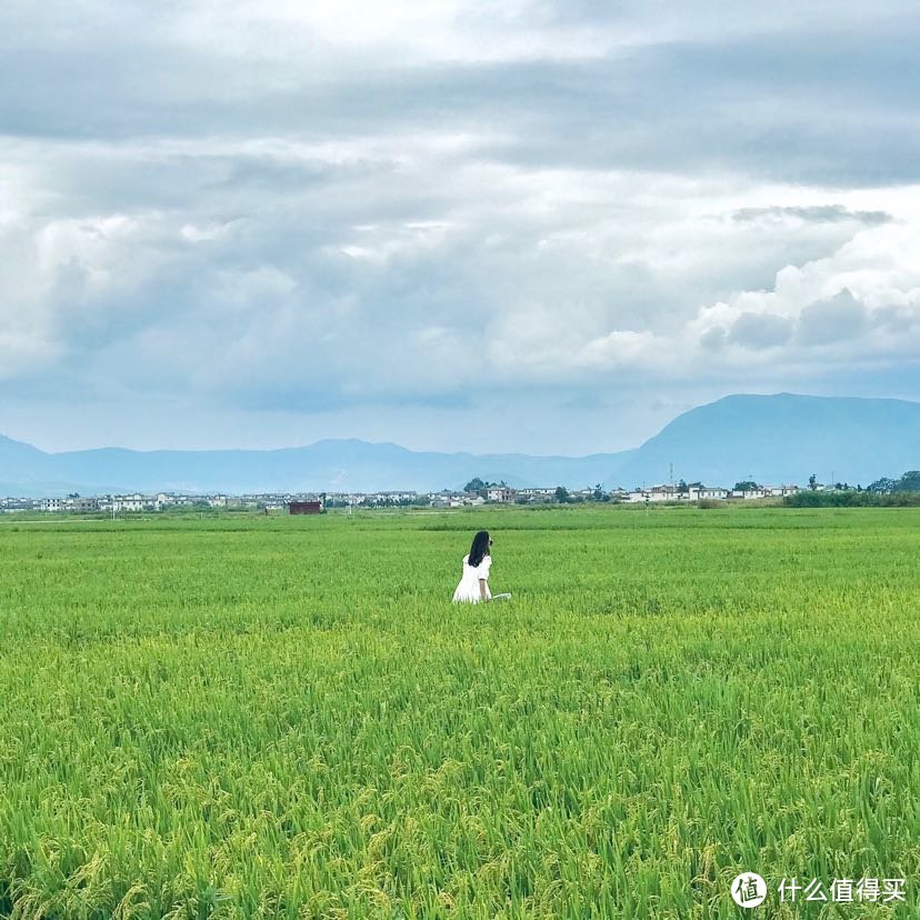 拍照的人极多，往田间深入走了很远才拍出这样空旷的照片