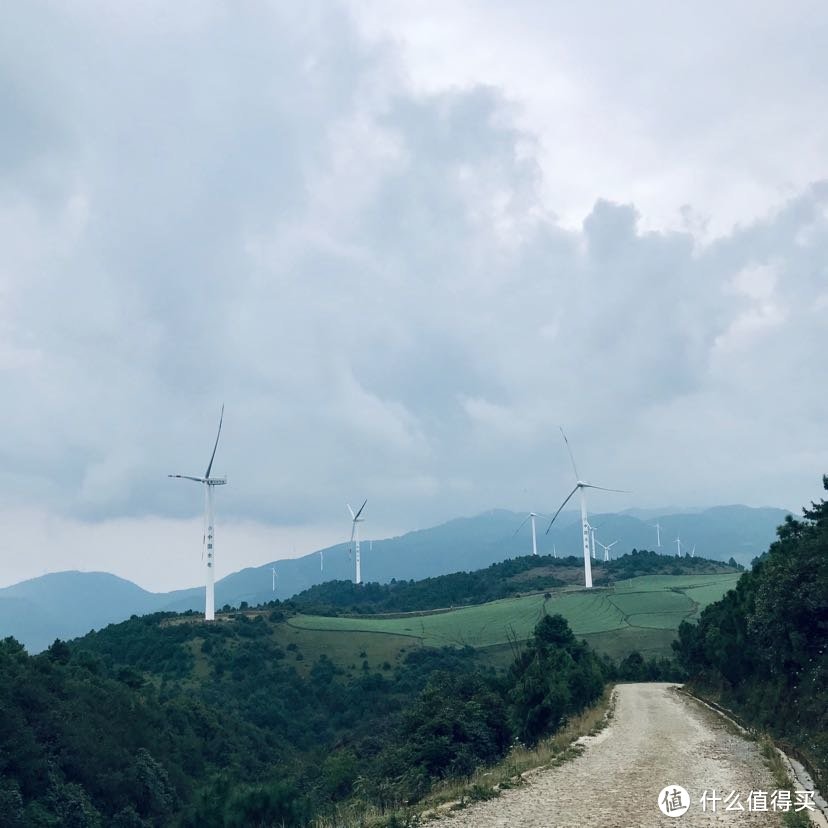 夏天的最后一趟旅行-大理丽江游