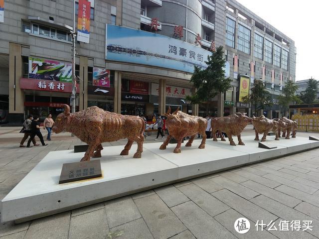 十一我在北京：海鸟4K防抖运动相机，记录生活的每一个美好