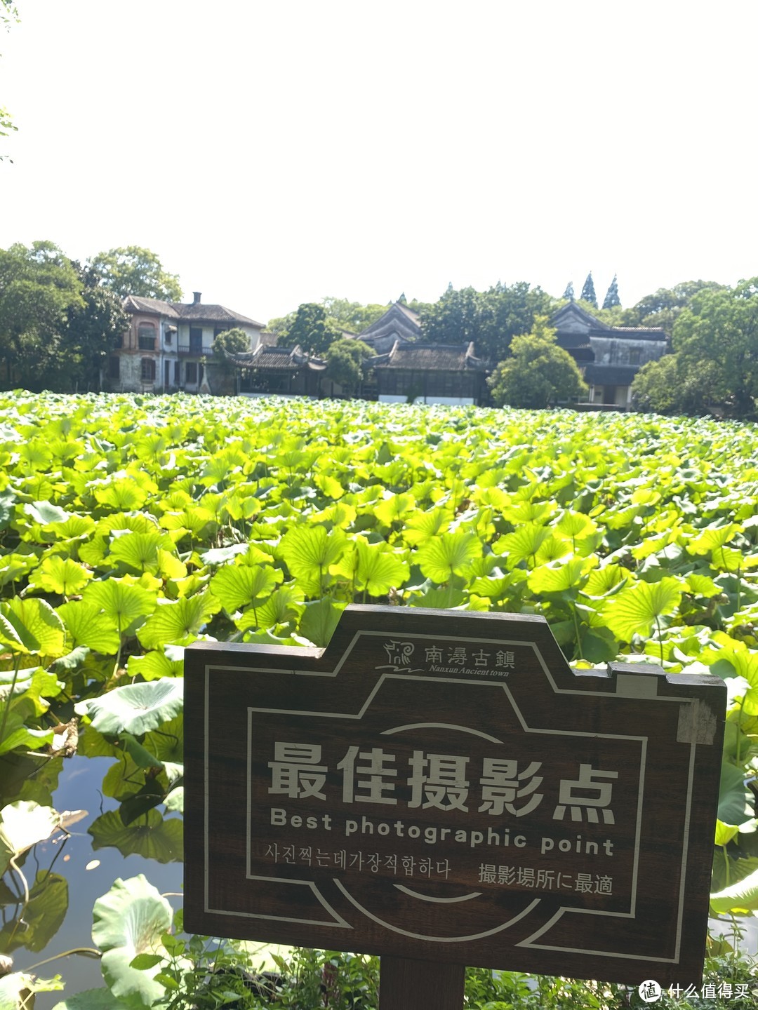 一湖风情，一州古韵丨宁波→湖州，三天两晚不完全记录