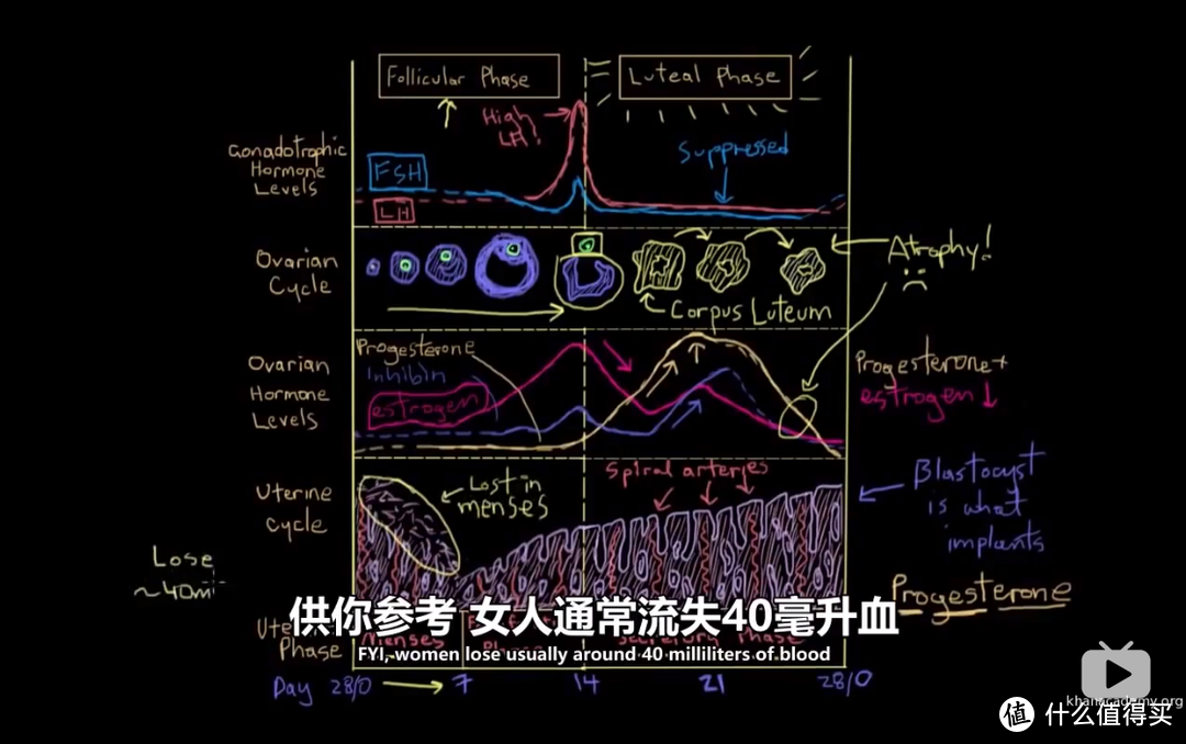 Khan Academy 可汗学院， 国际名校公开课， 免费英语学习资料