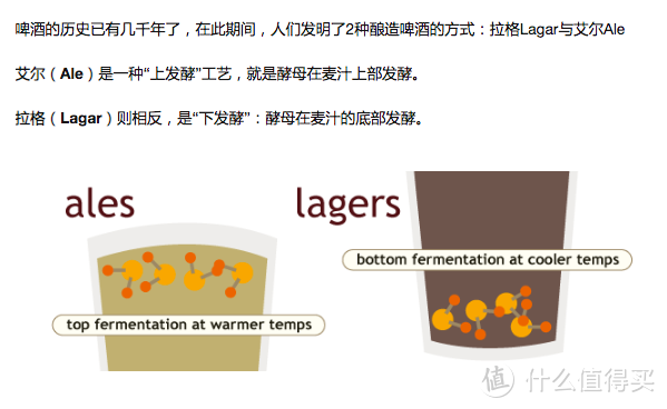 双节配精酿，月是今夜圆——克伦堡1664法式覆盆子口味白啤，为团聚和快乐干杯！