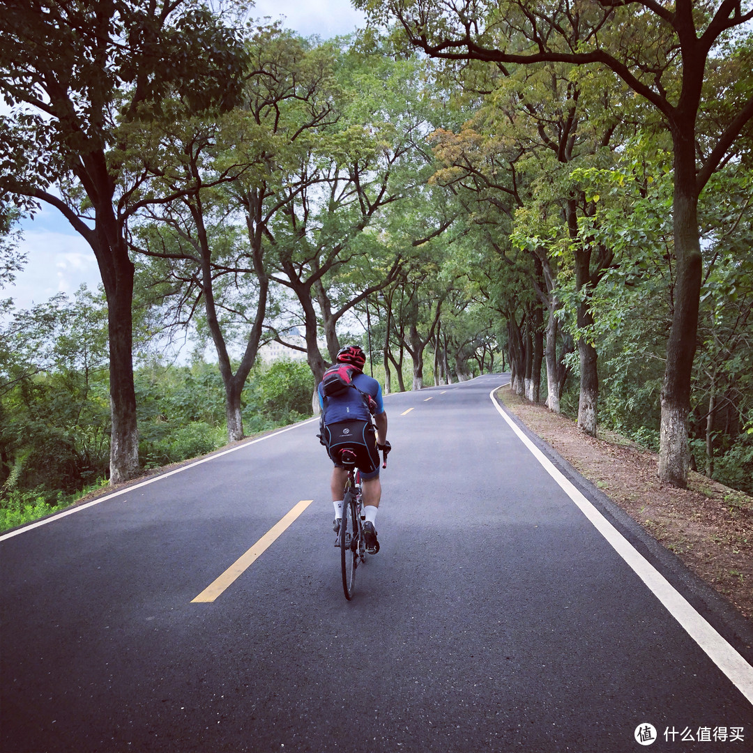 老沪杭公路封闭（生态公园）路段