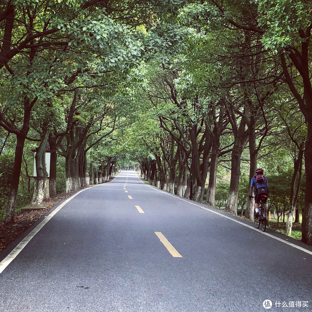 老沪杭公路封闭（生态公园）路段
