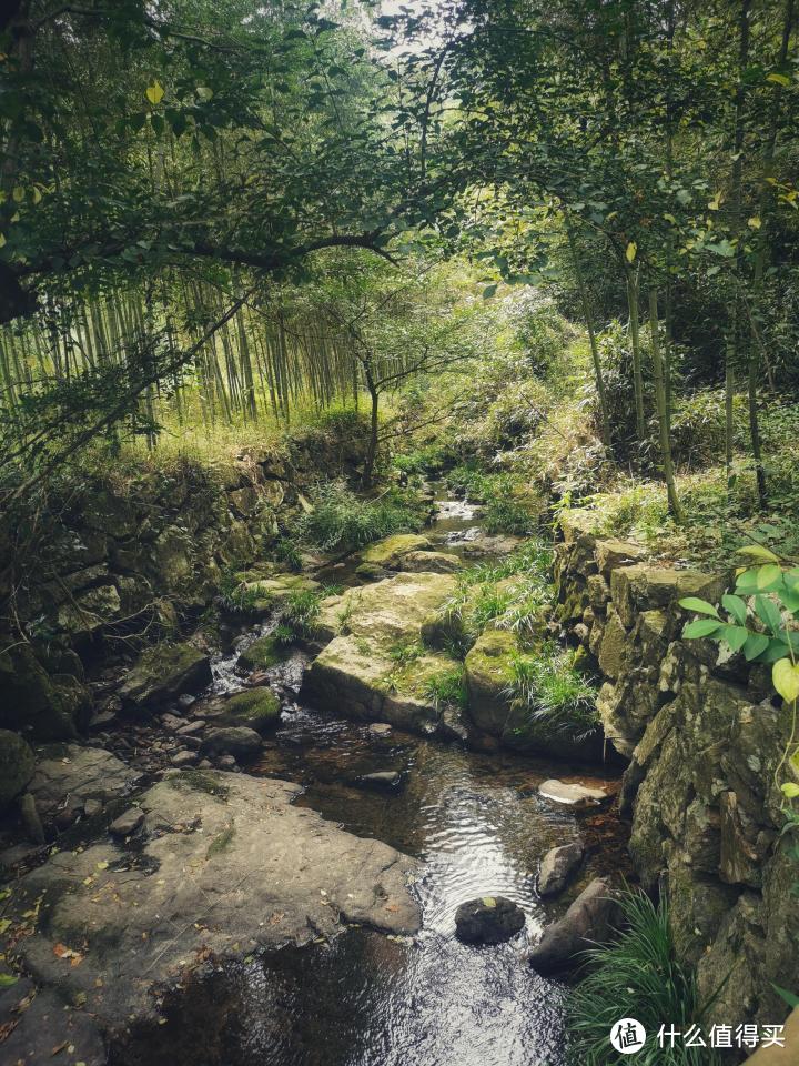 离上海3小时车程，在杭州的这座深山禅院中，体验了一次静心之旅