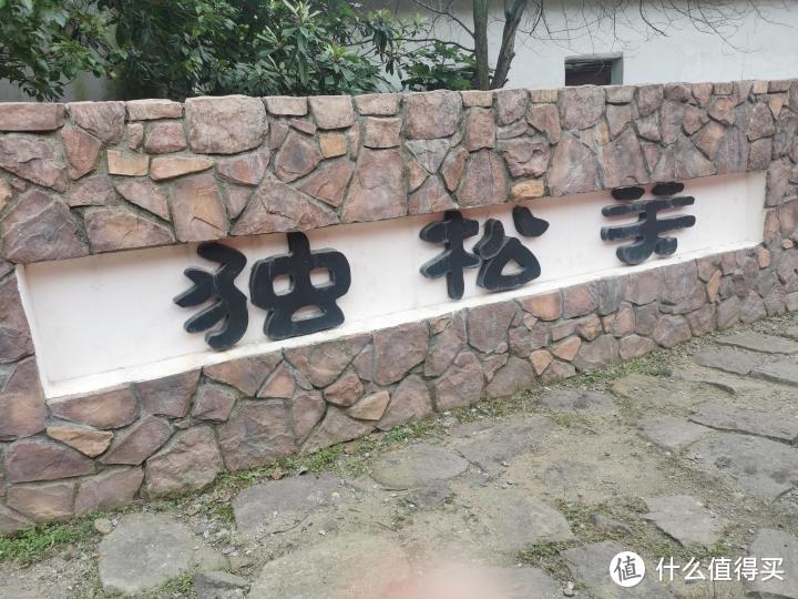 离上海3小时车程，在杭州的这座深山禅院中，体验了一次静心之旅