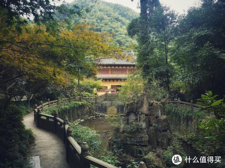 离上海3小时车程，在杭州的这座深山禅院中，体验了一次静心之旅