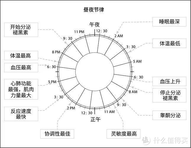 图片来自《睡眠革命》