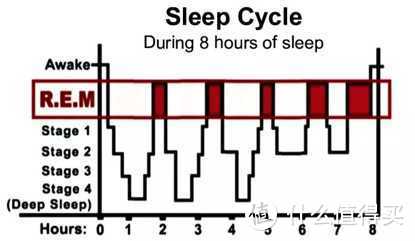 REM睡眠（快速眼动睡眠）