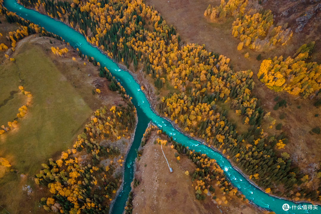 特别神奇的是河水的分叉却是另一种颜色