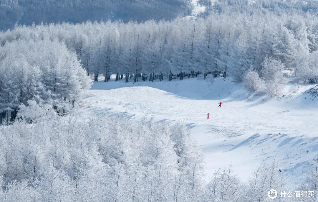 先来个冬季滑雪攻略种种草，给力爆款缓缓就到