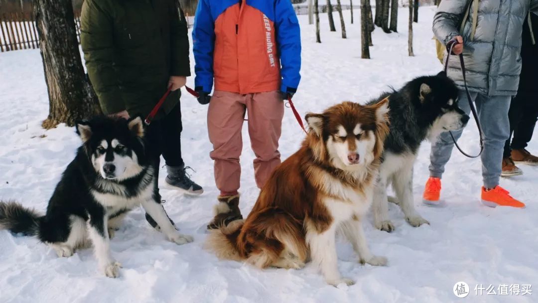 先来个冬季滑雪攻略种种草，给力爆款缓缓就到